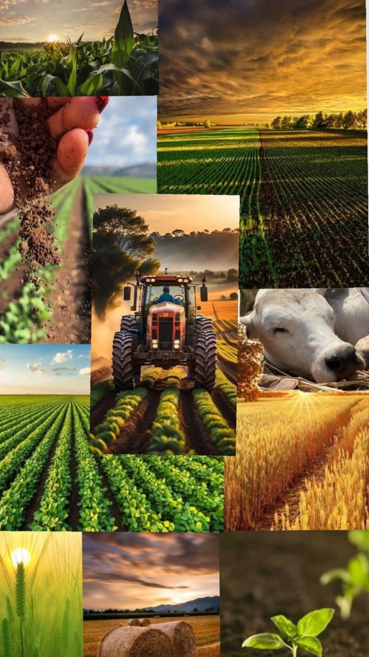 Agriculture & Farming