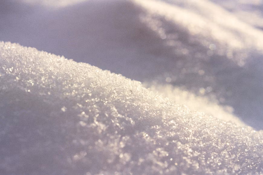 Sugar Processing